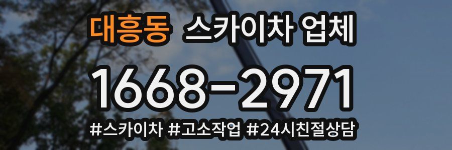 대흥동 스카이차 업체