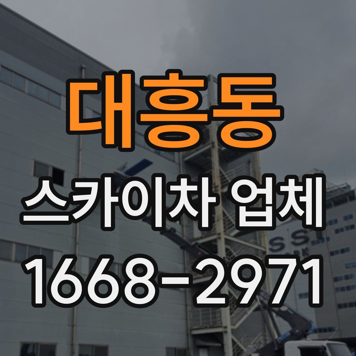 대흥동 스카이차 업체