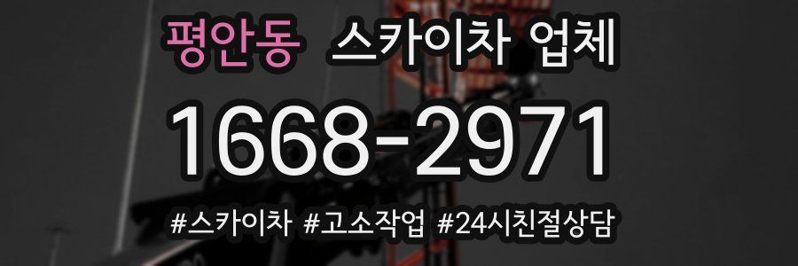 평안동 스카이차 업체
