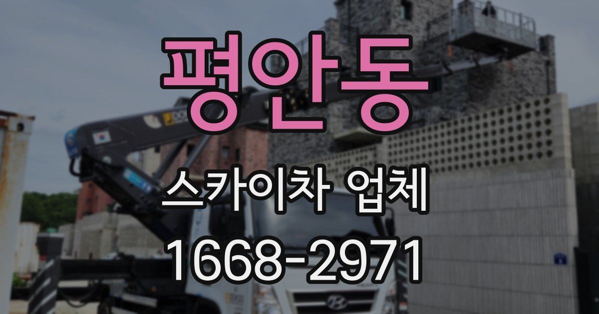 평안동 스카이차 업체