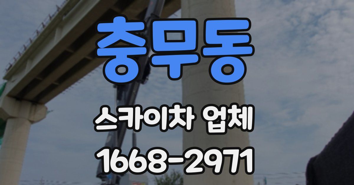 충무동 스카이차 업체