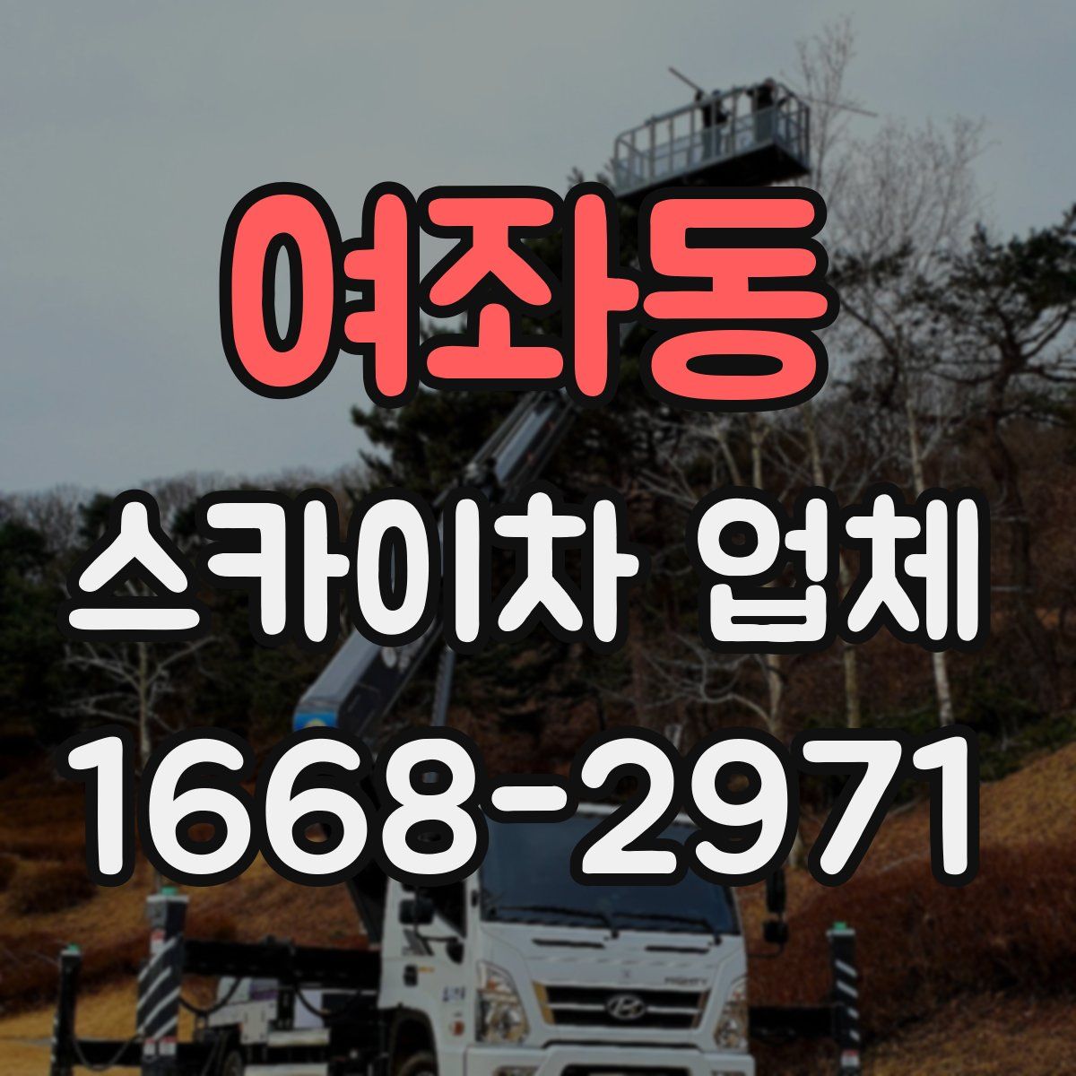 여좌동 스카이차 업체
