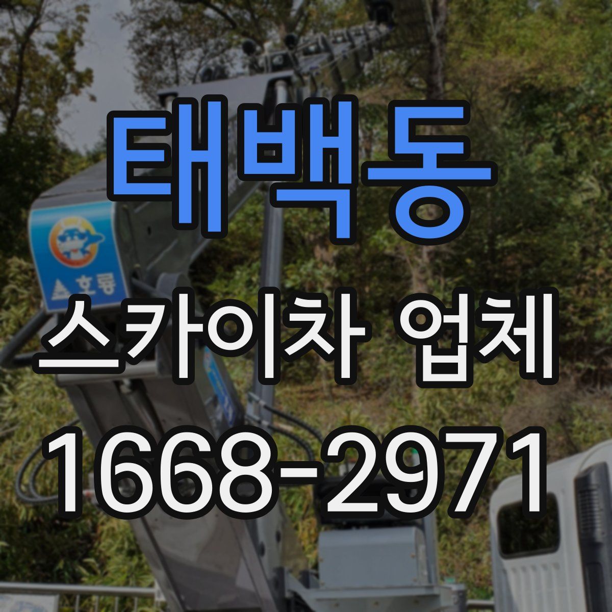 태백동 스카이차 업체