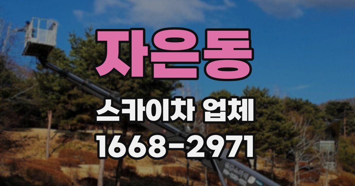 자은동 스카이차 업체