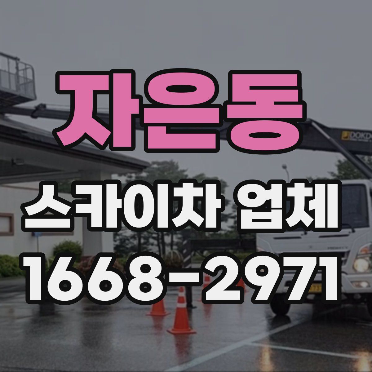 자은동 스카이차 업체