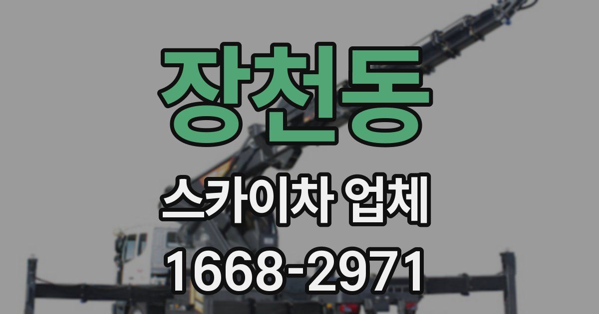 장천동 스카이차 업체