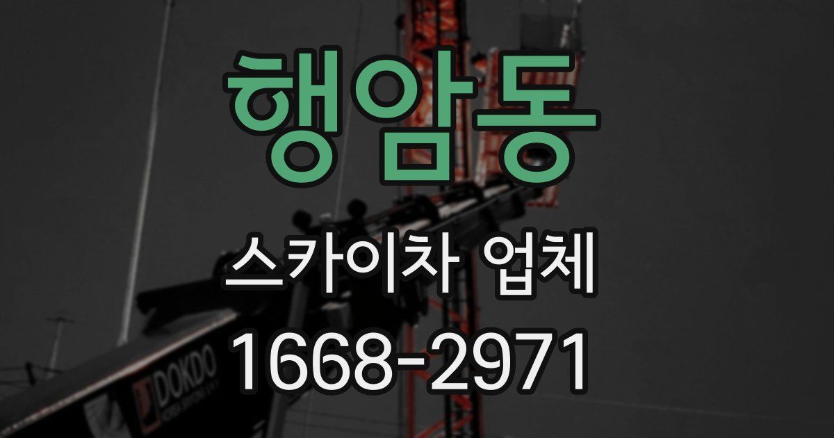 행암동 스카이차 업체