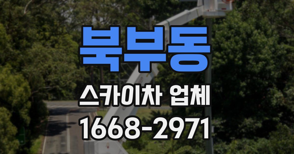 북부동 스카이차 업체