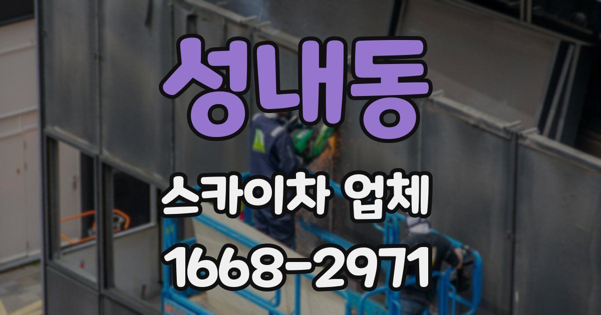 성내동 스카이차 업체