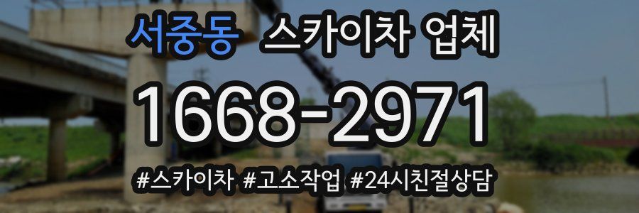 서중동 스카이차 업체