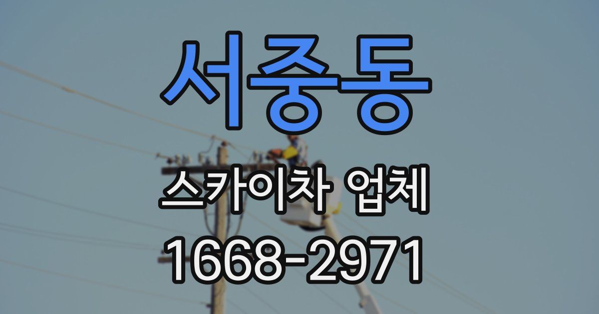 서중동 스카이차 업체
