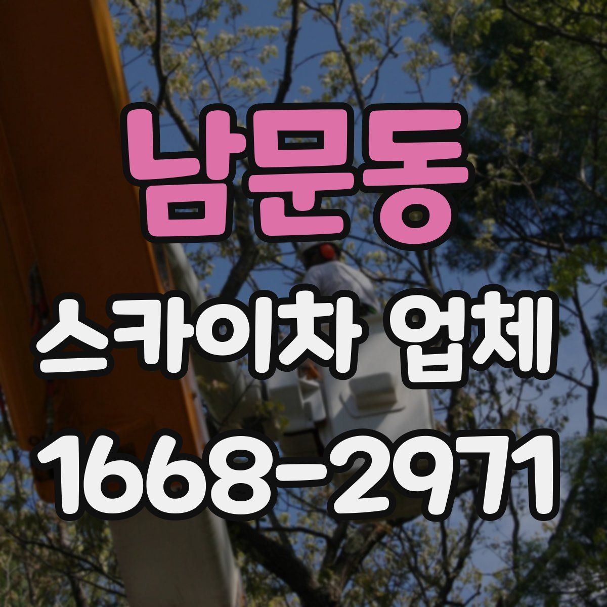 남문동 스카이차 업체