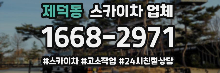 제덕동 스카이차 업체