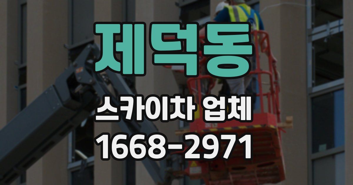 제덕동 스카이차 업체