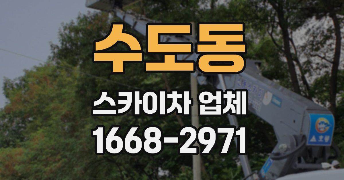 수도동 스카이차 업체