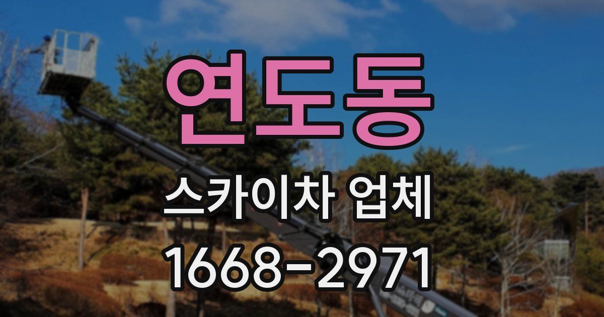 연도동 스카이차 업체