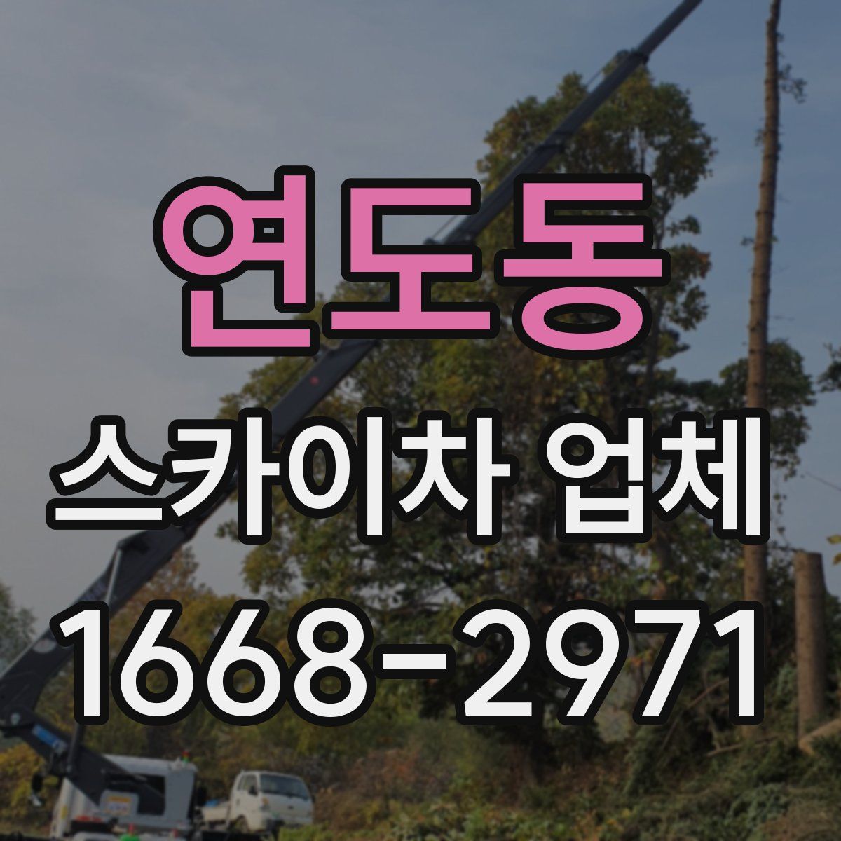 연도동 스카이차 업체