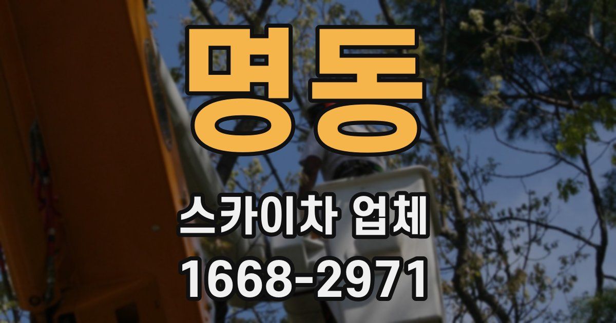 명동 스카이차 업체