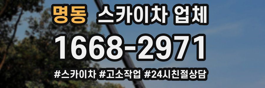 명동 스카이차 업체