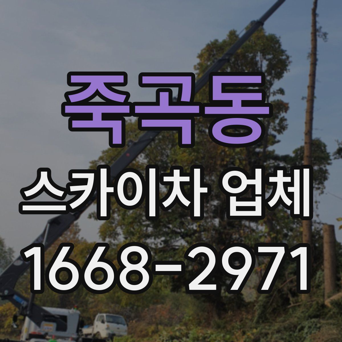 죽곡동 스카이차 업체