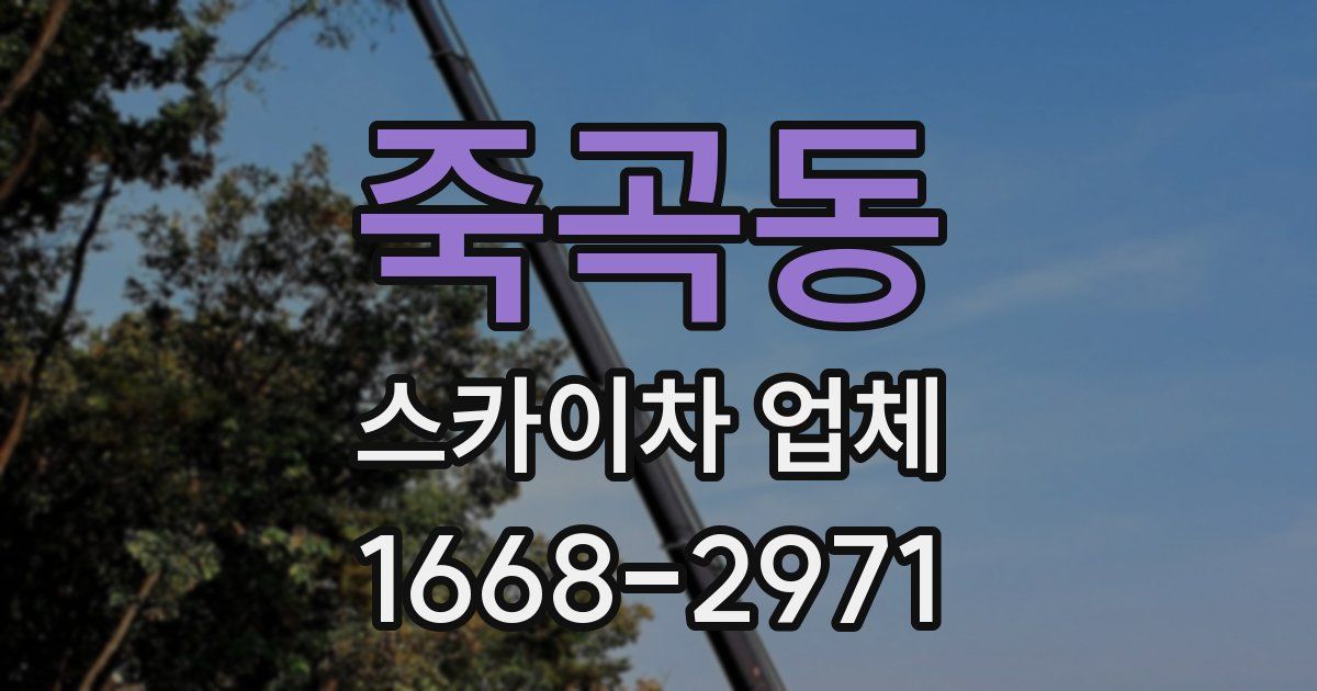 죽곡동 스카이차 업체