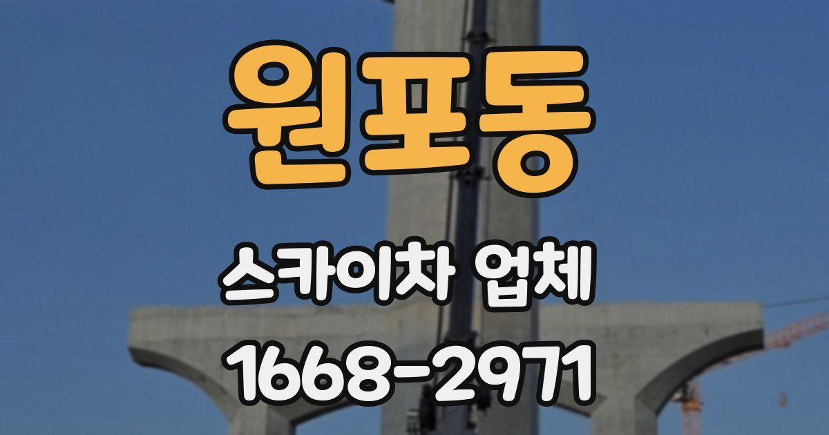 원포동 스카이차 업체