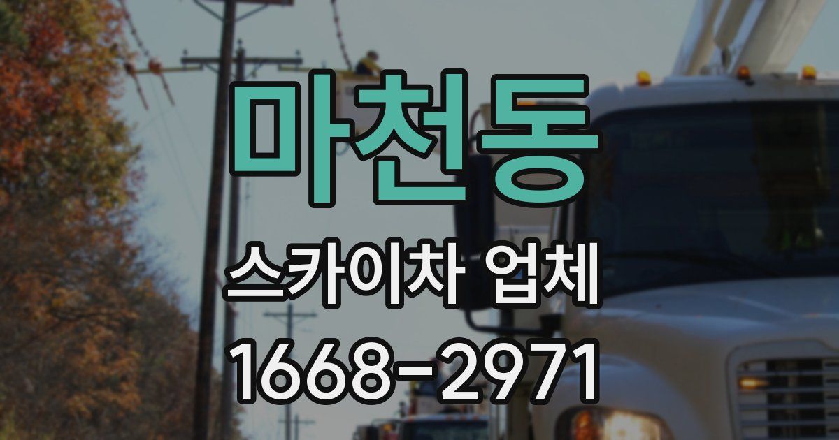 마천동 스카이차 업체