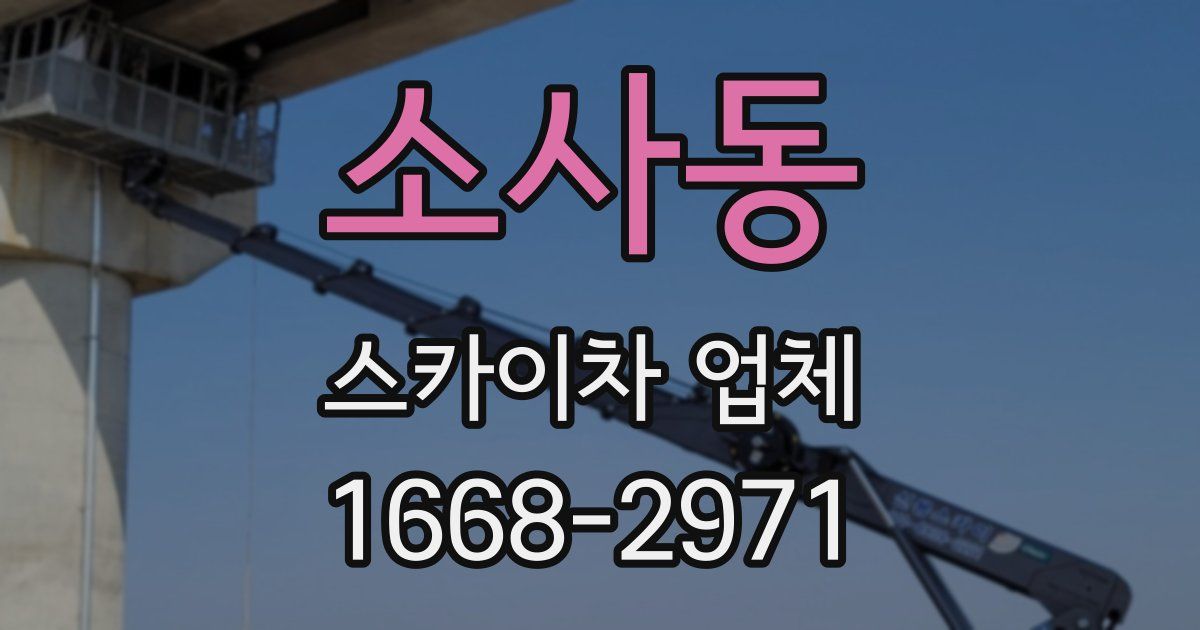 소사동 스카이차 업체