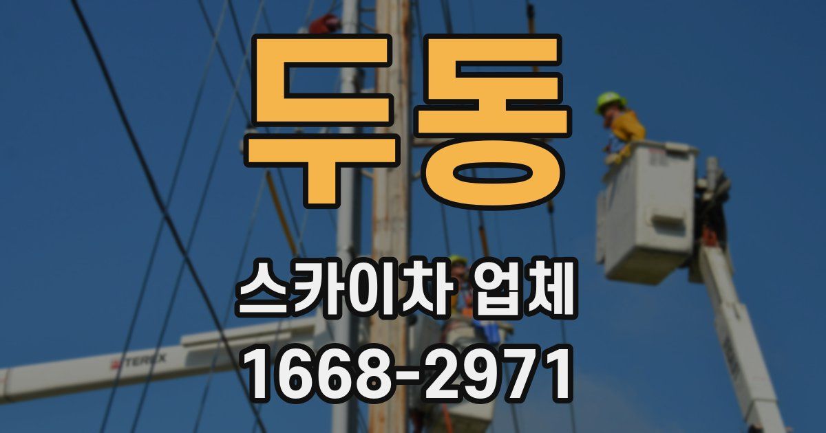두동 스카이차 업체