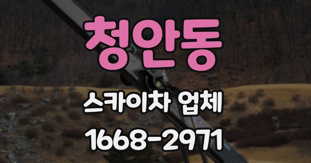 청안동 스카이차 업체
