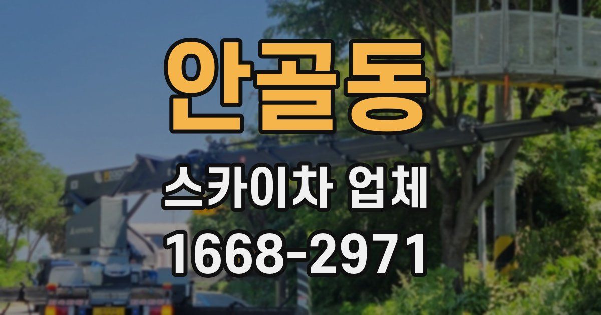 안골동 스카이차 업체