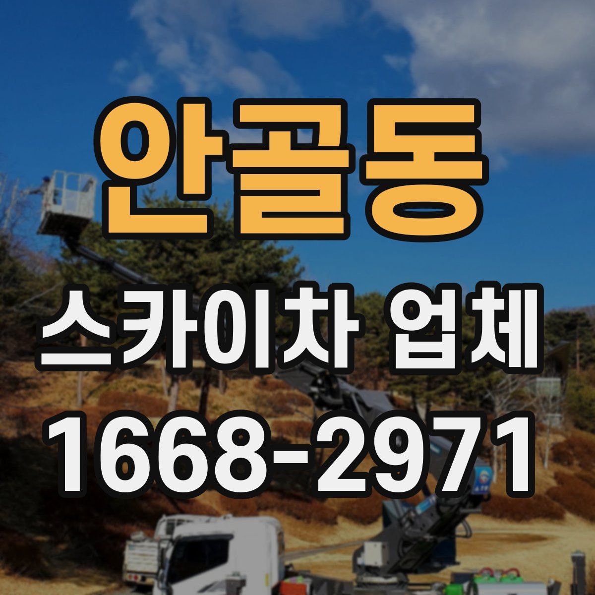 안골동 스카이차 업체