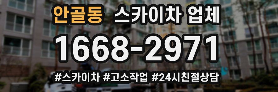 안골동 스카이차 업체