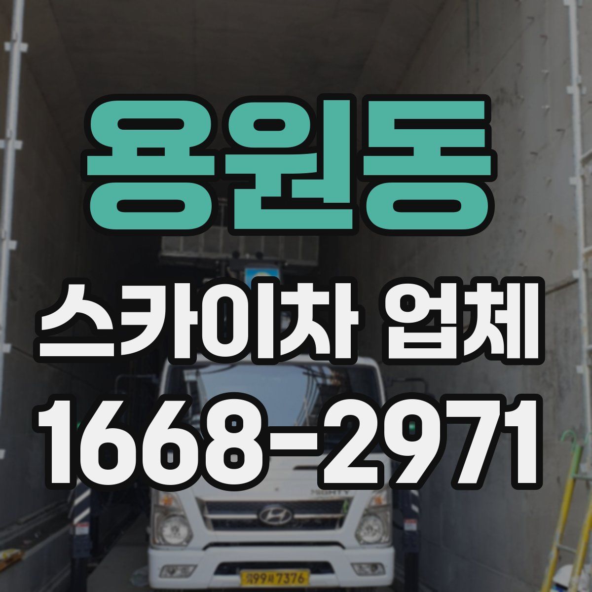 용원동 스카이차 업체
