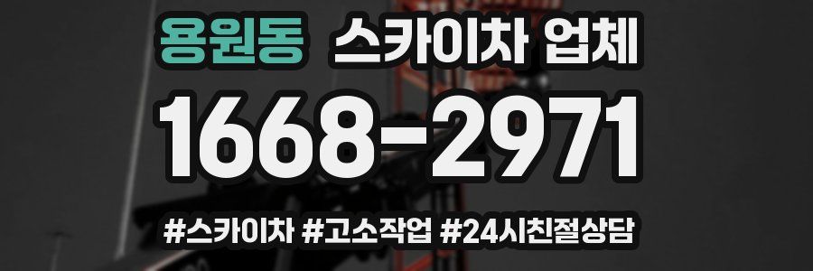 용원동 스카이차 업체