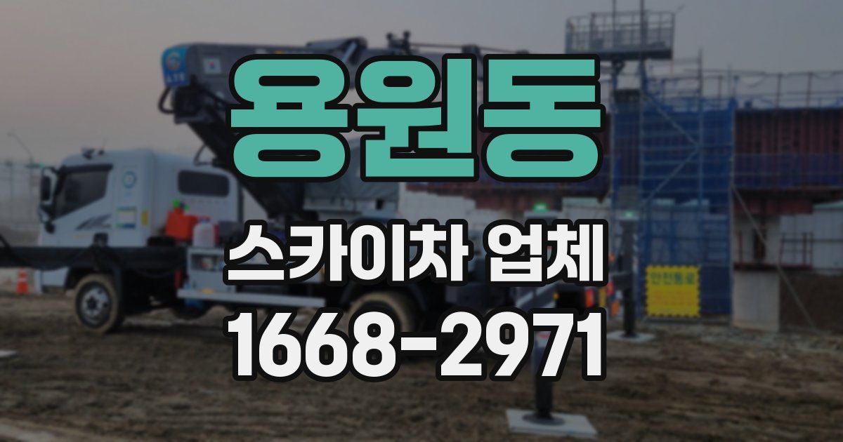 용원동 스카이차 업체