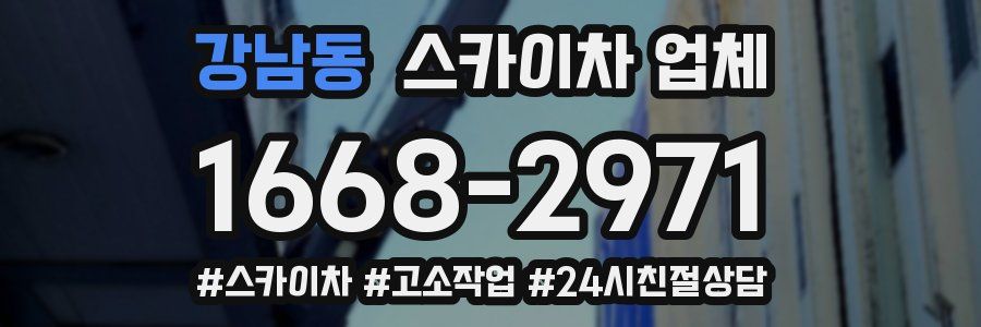 강남동 스카이차 업체