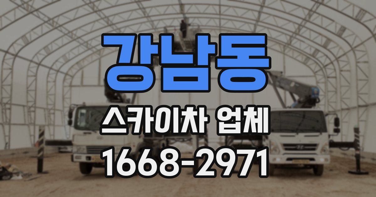강남동 스카이차 업체