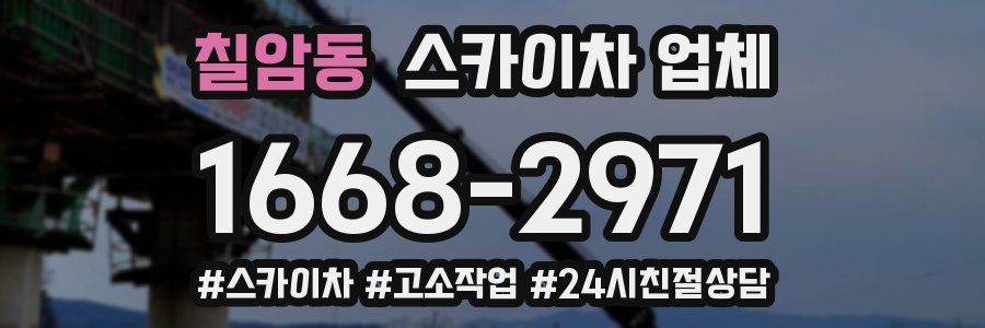 칠암동 스카이차 업체