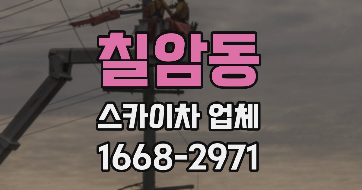 칠암동 스카이차 업체