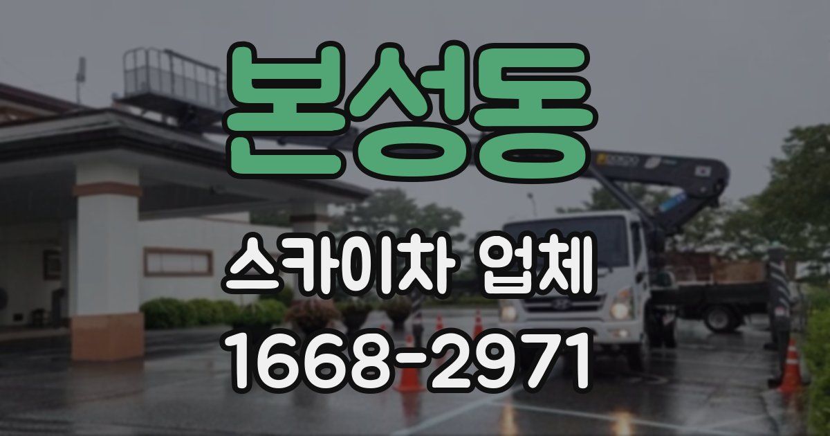 본성동 스카이차 업체