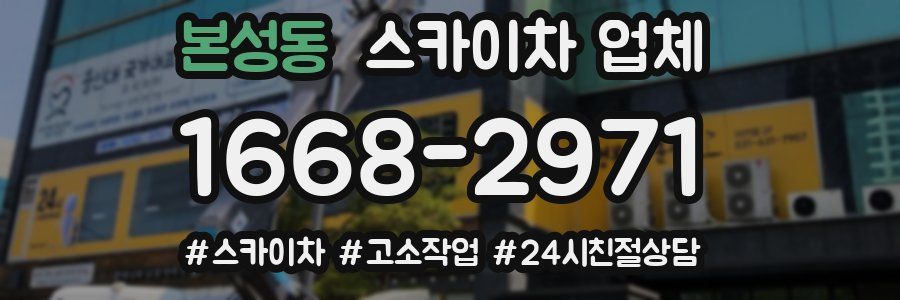 본성동 스카이차 업체