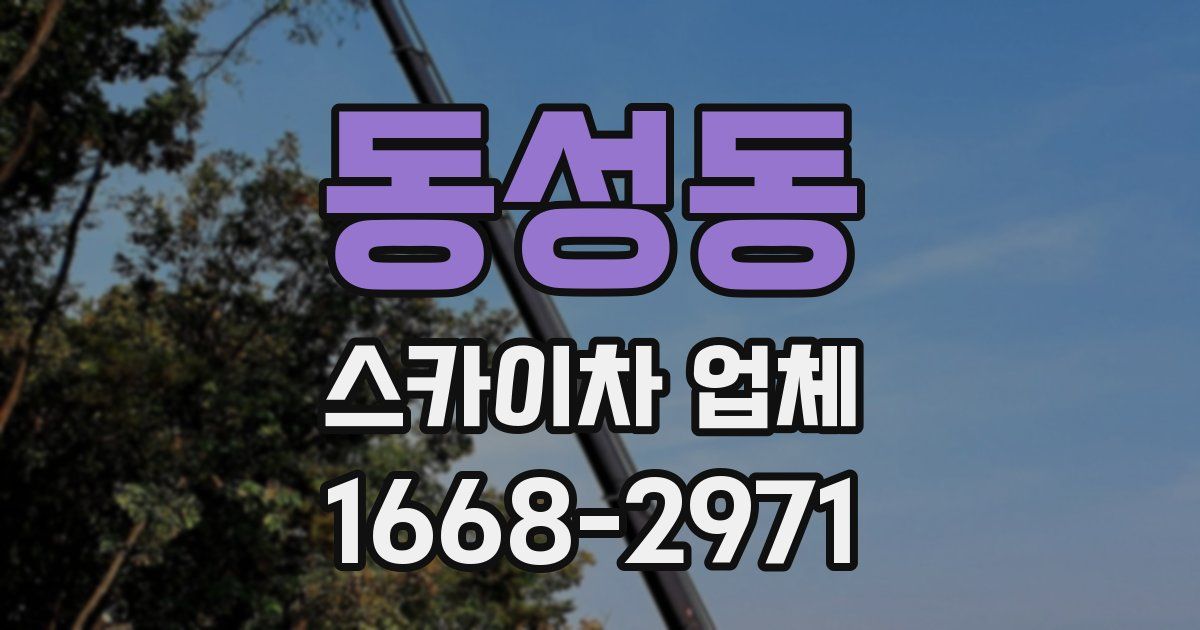 동성동 스카이차 업체