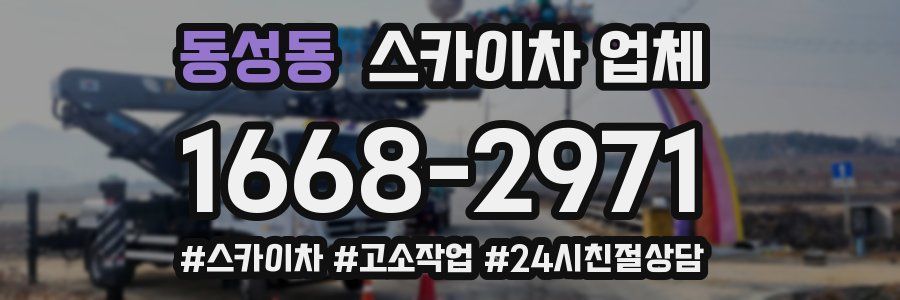 동성동 스카이차 업체