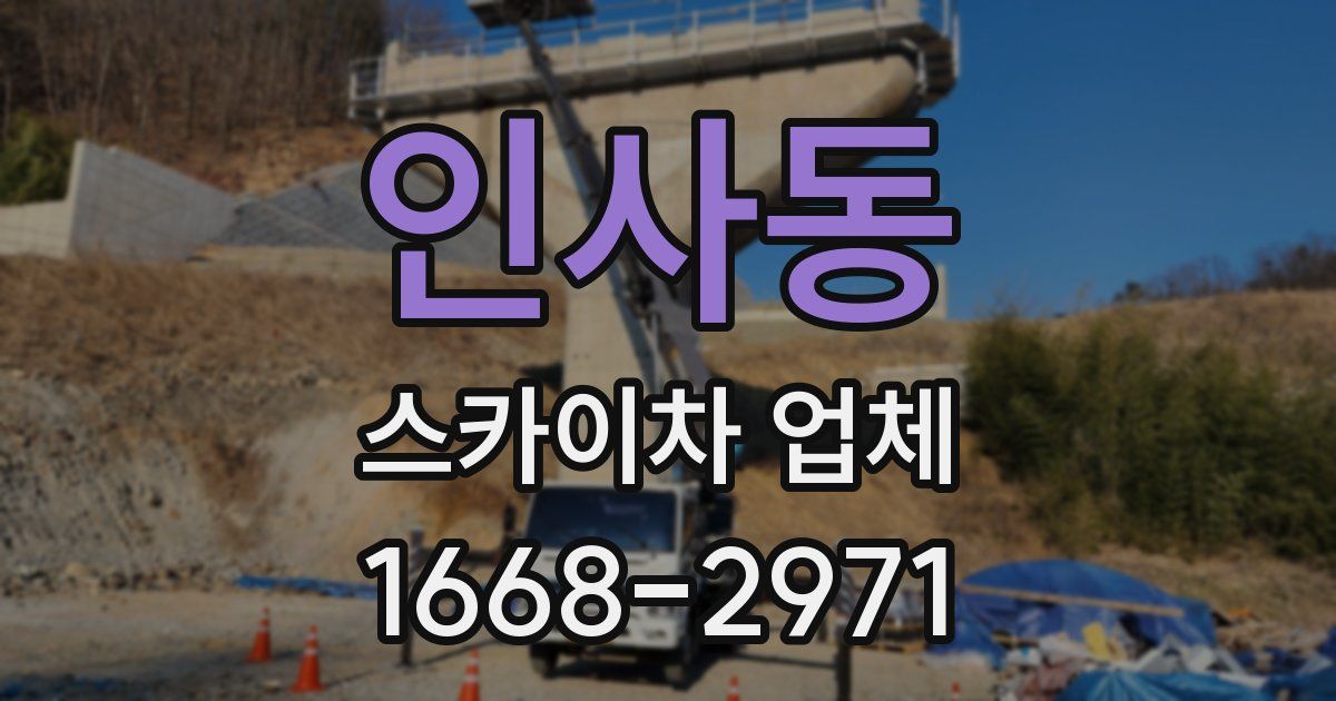 인사동 스카이차 업체