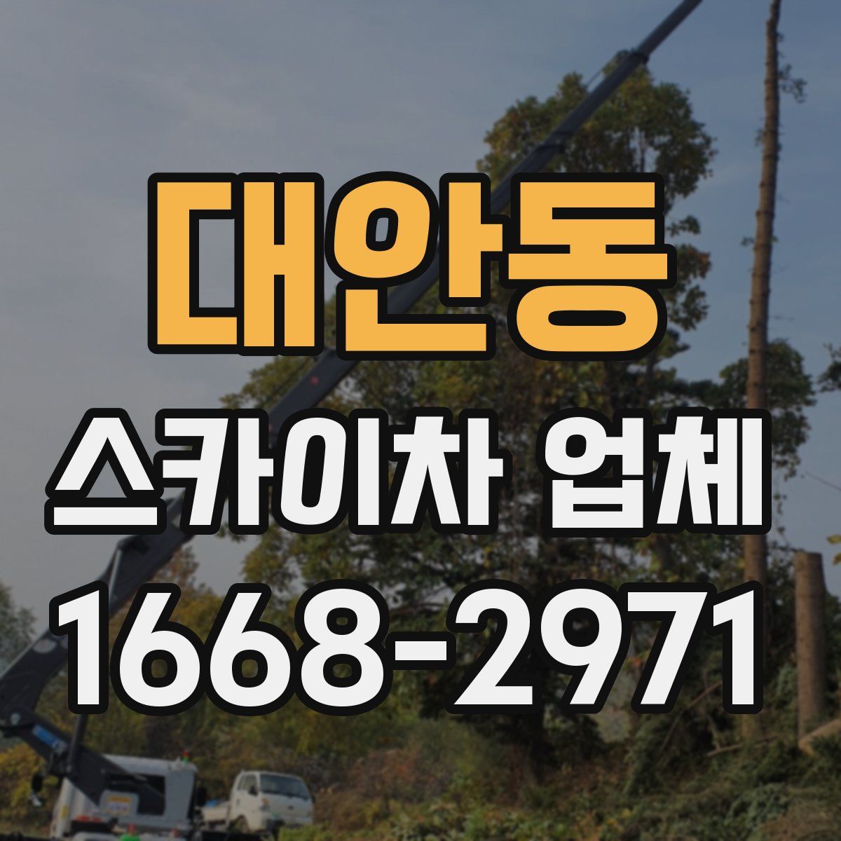 대안동 스카이차 업체