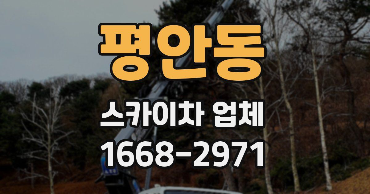 평안동 스카이차 업체