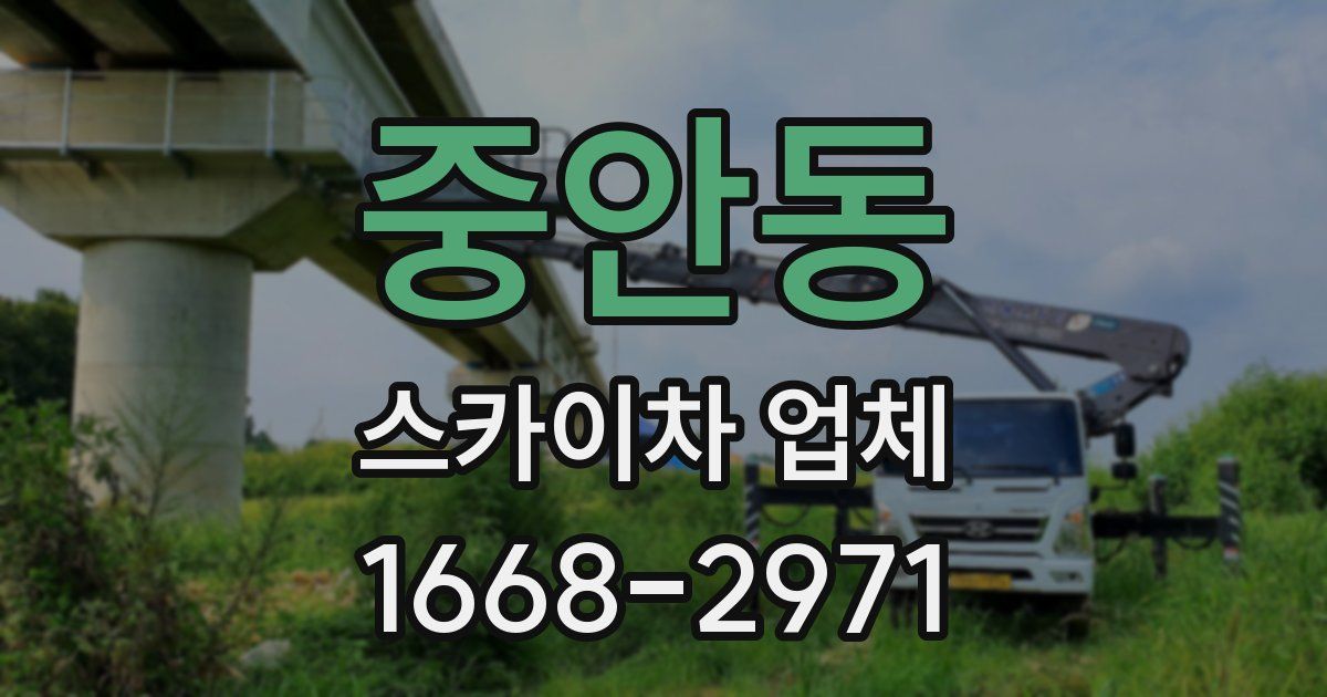 중안동 스카이차 업체