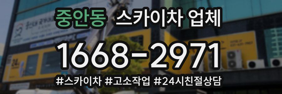 중안동 스카이차 업체