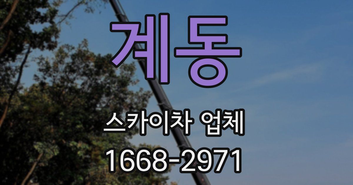 계동 스카이차 업체